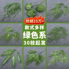 �¿�Gɫϵ���滨�������Ļ�c��Y�����b��廨�~�Ӽٻ�·����