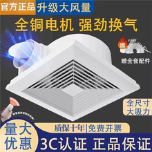 ��Ұ��Ӱʯ��弯�ɵ�픓Q���ȏN���l���g�컨���ʽ���L�ȏ����o