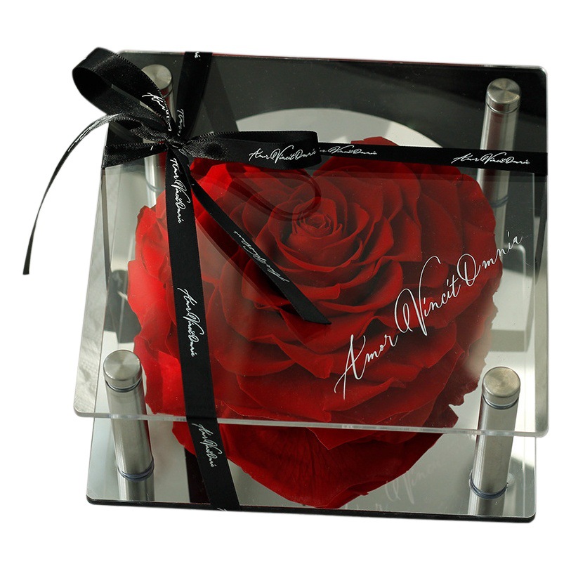 Regalo de San Valentín, rosa eterna en forma de corazón de acrílico, flor seca, regalo al por mayor para niñas, regalo festivo