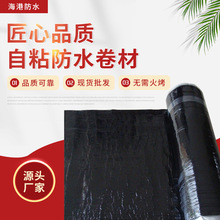 ˮļӹ SBSr͸ճ]TPOǞrzĤ