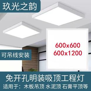 Lei Shiji Surface-Mounted 300X1200 Led Panel Light 600X600 Gypsum Ceiling Cement Ceiling Panel 60X120