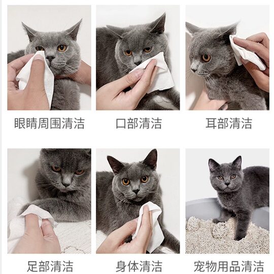 Pet Eye Cleaning Cotton Pads 120 Pieces Large Capacity Cleaning Wipes Manufacturer Customized