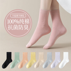 秋冬新品純棉襪子女中筒襪防臭吸汗純色女士運動棉襪春秋款長襪女