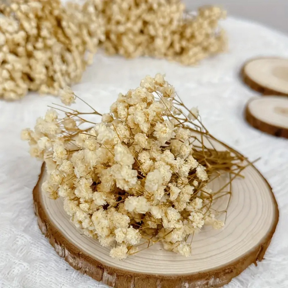 Everlasting Mini Baby's Breath Bulk Short Stems DIY Flower Materials Baby's Breath Flower Heads Dried Flowers Everlasting Flowers Cross-Border Shipping