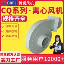 CQ1-JCQ2-J/CQ3-J/CQ4-J/CQ5-J/CQ19-J/CQ18-J/�L�C ��̼�x���L�C