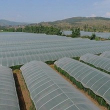 ����Ǽ�ȫ���Bֳ�Nֲ�߲��r�����iţ���u���ݙE�A���B�����ﶨ��