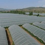 全套种植定制养殖椭圆管