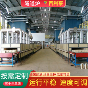 Bailishhao Factory Direct Supply Tunnel Furnace Assembly Line Hardware Painted Line Drying Line Tunnel Drying Furnace