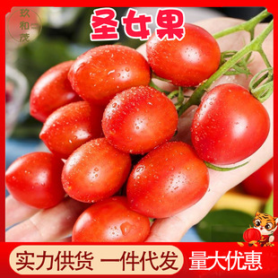 ���ڼtɫ�}Ů��5���������rˮ��3���l���]10�����߲˼tɫС���t��