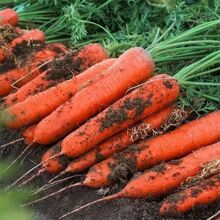 �Ї��t�Ŵ煢���}���N�ӿ��������׹������ˮ���t�}���N�̨�߲�