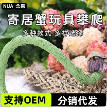 爬宠攀爬寄居蟹攀爬睫角守宫攀爬藤条甲虫攀爬沉木杜鹃根
