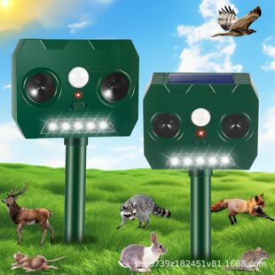 �羳����̫���������������ʄ�����s���r�����@򌹷��B��