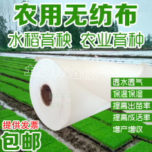 育苗无纺布冬季整卷建筑渗水透气播种大面积全新草坪绿化覆盖育苗