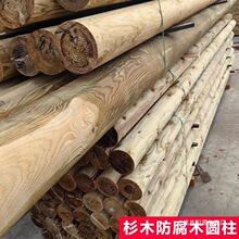 ľAľľ̼ɼľAӿľAԭľ