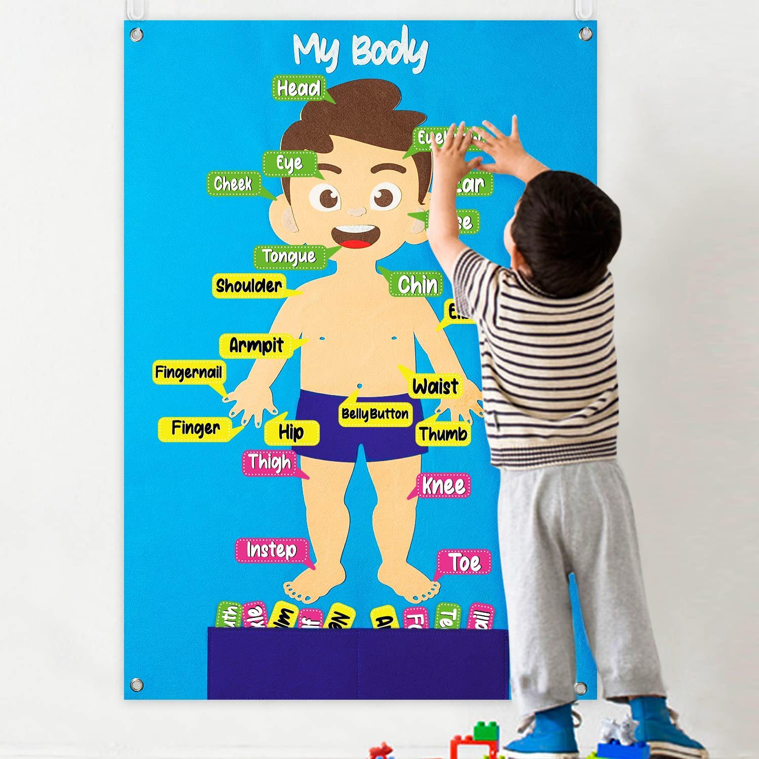 儿童认知人体身体结构拼图 器官图片 幼儿园教具毛毡早教益智玩具