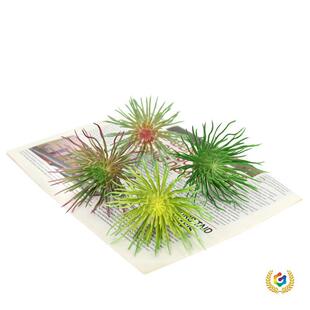 ?ֲë횻��՚��P�����˶���ֲ���С���ټ����}�����b՚�