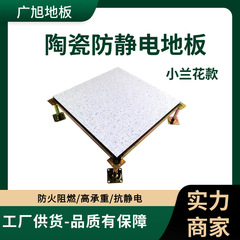 セラミック帯電防止床 600*600 コンピュータルーム空中可動床小蘭国家標準セラミック帯電防止床