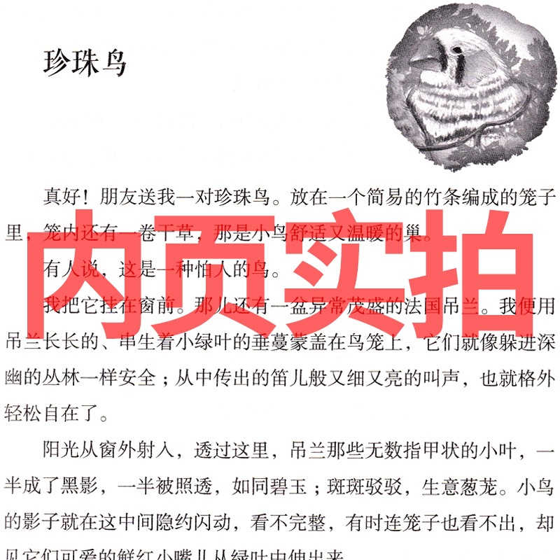 真珠鳥の本の馮才著の5年生の上巻は必ず名匠を読んで美絵版を読んで児童文学を読みます。
