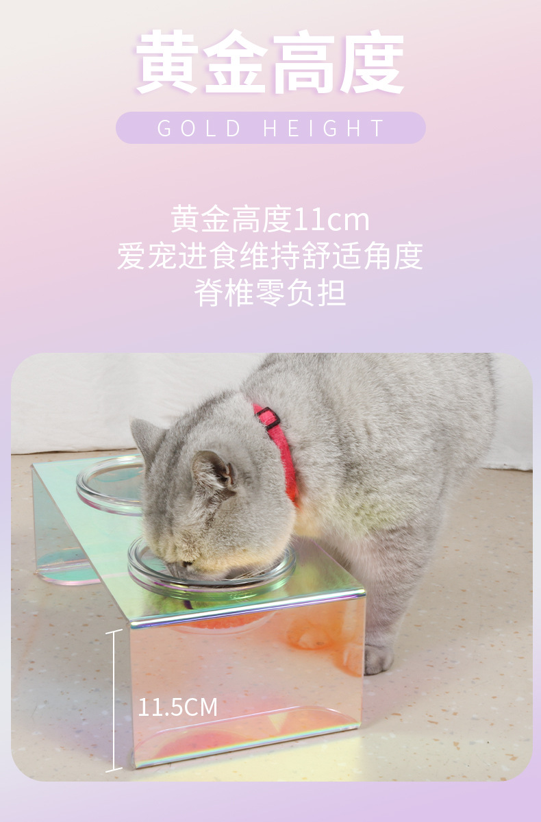 炫彩餐桌7.jpg