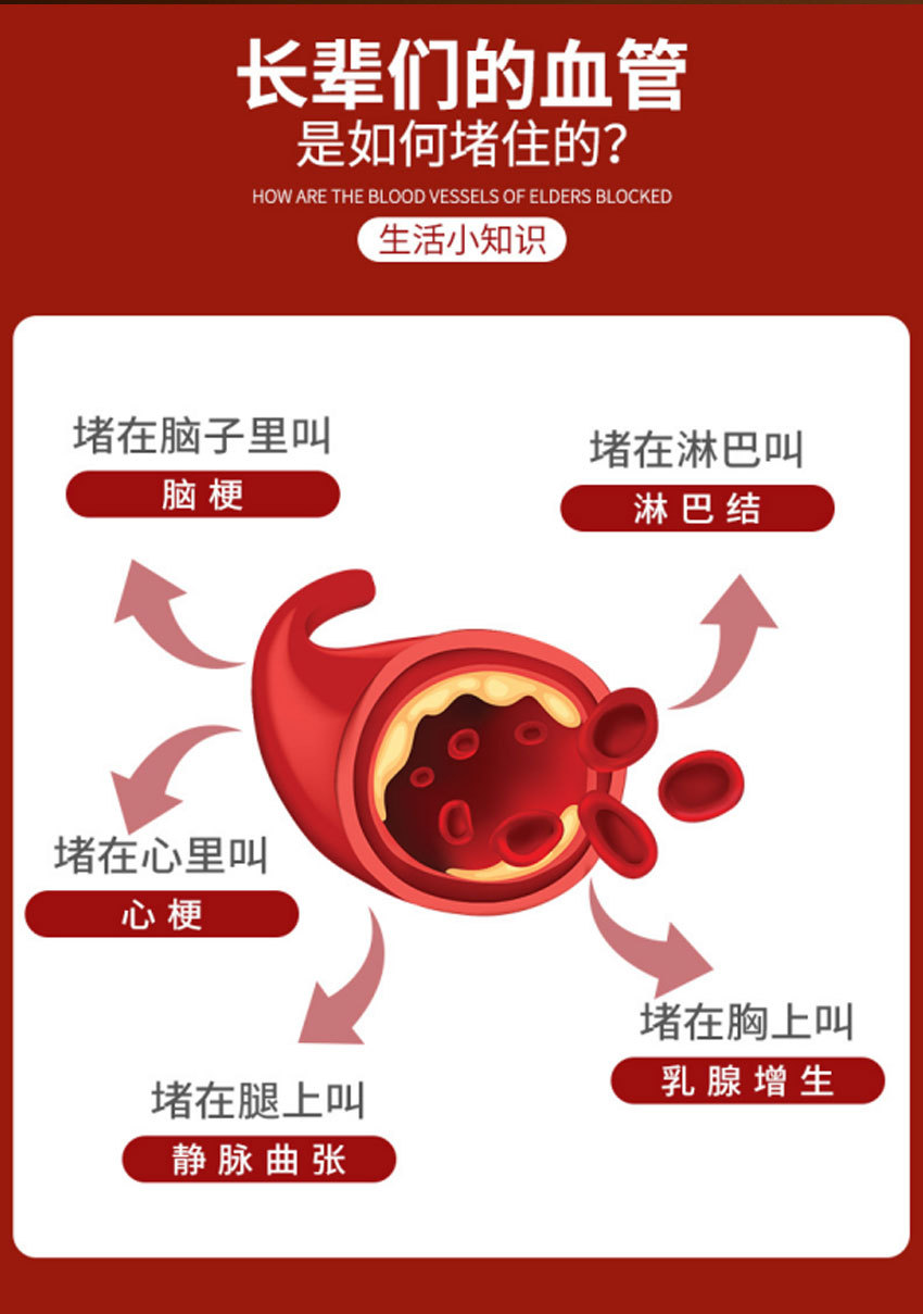 Astragalus Ginseng Earthworm Protein Herbal Pills Huang Qi Ren Shen Di Long 144g Daily Wellness quality and texture