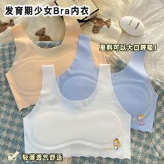 発育期の下着の女の子の夏の薄いタイプの氷の糸の無痕の少女のベストの学生の7-13歳の児童のブラジャーの学生