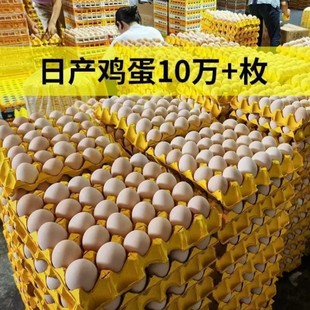 �u�����l�µ�_����30ö�r��ɢ�B�����u�����r�F����l