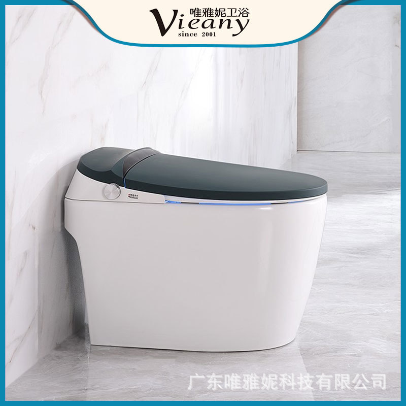 Inodoro inteligente verde oscuro sin tanque de agua integrado flip automático control remoto temperatura constante inodoro caliente instantáneo versión de alta gama
