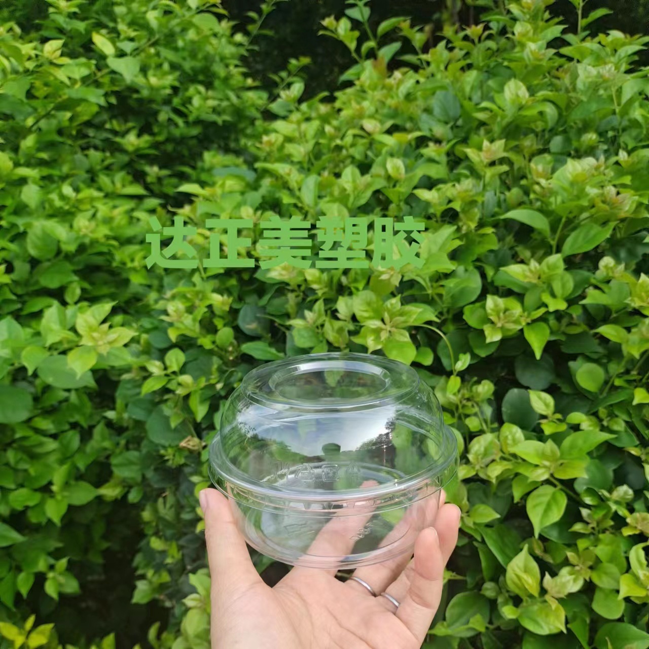 酸奶冰粉碗一次性塑料透明117口径PET沙拉桶杯甜品水果捞打包盒