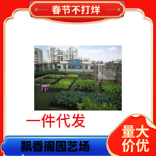 �߲˷N�ӽM���b�ļ����˷N���̨����ͥԺ�׷N���＾�߲˷N�Ӵ�ȫ