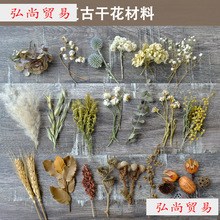 ���͹��L�ɻ����ϡ���֦��ֲ��˱����diy��ˇ��������Wʽ���~