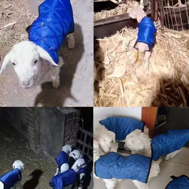 Newborn Lamb Thermal Clothing, Lamb Vest, Lamb Vest, Goat Sheep Windproof, Coldproof and Waterproof Universal Sheep Vest Newborn Lamb Thermal Clothing, Lamb Vest, Lamb Vest, Goat Sheep Windproof, Coldproof and Waterproof Universal Sheep Vest