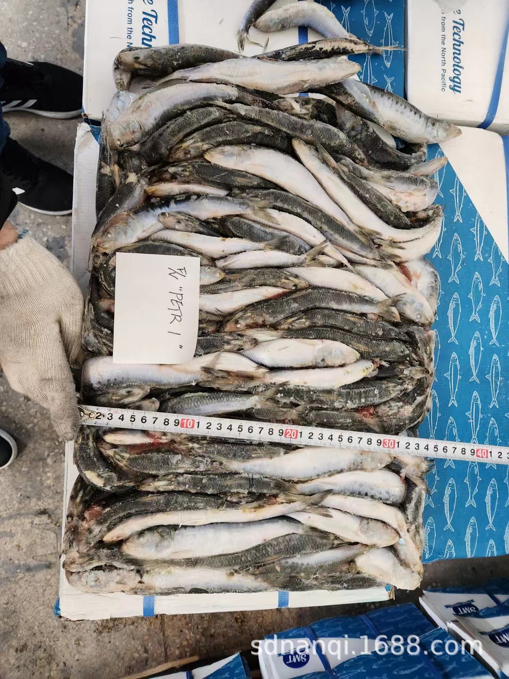 山东南启水产贸易有限公司 微信图片_20230102154132.jpg