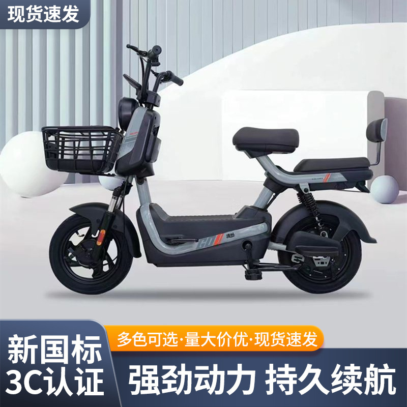 New Model Electric Bicycle with Two Wheels, 48V Battery, Electric Scooter for Two Adults or Parent-Child Use New Model Electric Bicycle with Two Wheels, 48V Battery, Electric Scooter for Two Adults or Parent-Child Use