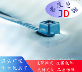 JD可检测的电缆扎带111-00829 | MCT30R-PA66MP-BU