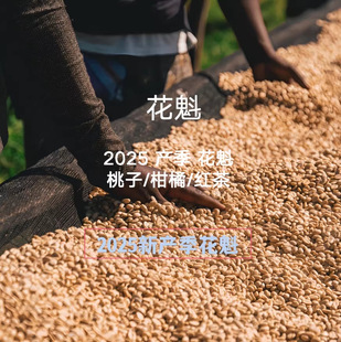 2025�®a���������ȁ��������Ӽt����ԃr�Ⱦ�Ʒ�֛_��������