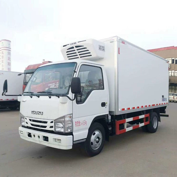 Рефрижератор Dongfeng D9 2,9 м для вакцин, низкотемпературный фургон, гарантия качества