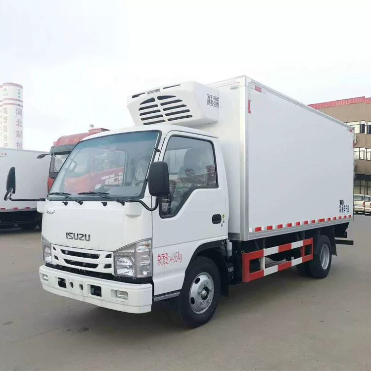Рефрижератор Dongfeng D9 2,9 м для вакцин, низкотемпературный фургон, гарантия качества