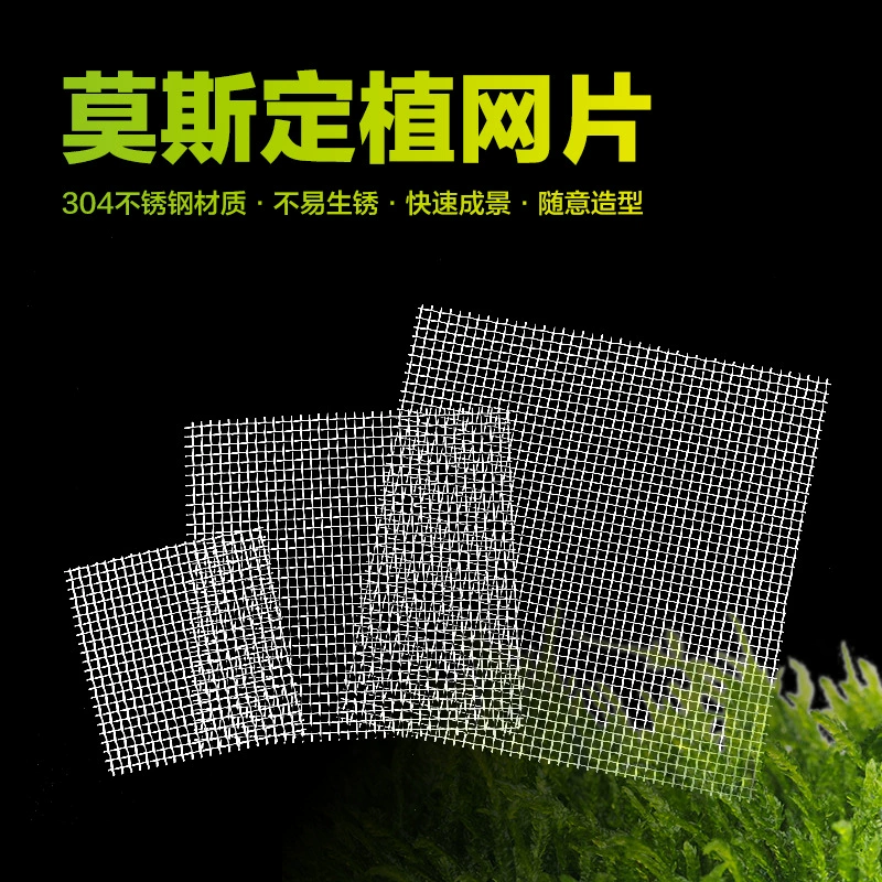 Мосс посадил сетку 304 из нержавеющей стали Мосс аквариум связал водную траву посадил фиксированную сетку