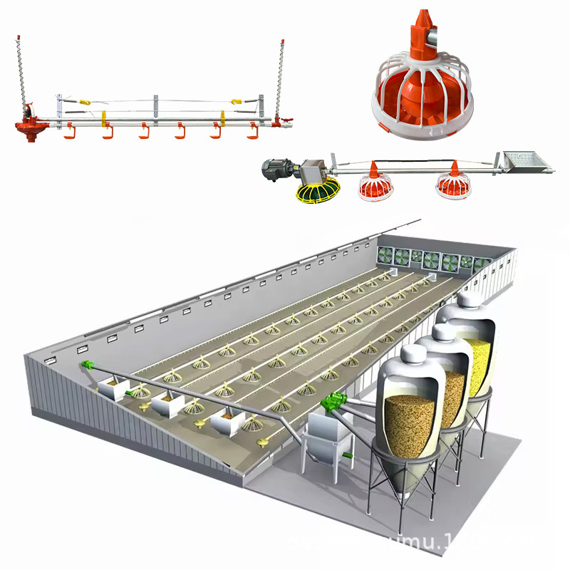 Sistema automático de equipos de alimentación de pollos de engorde para pollo de engorde a sueldo línea de agua de granja de bandeja de material