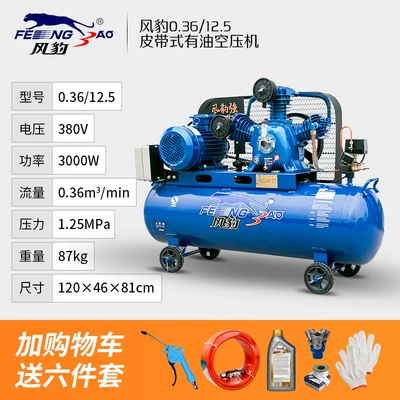 Pressure Air Pump Spray Paint — Hava kompressorları - 036-125380v3000w