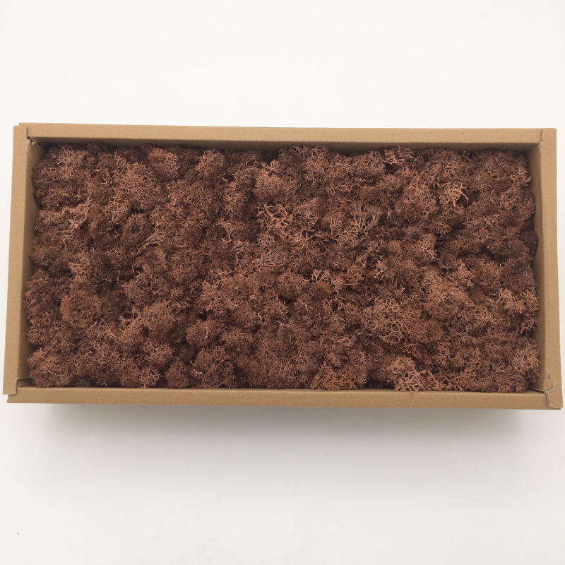 Musgo al por mayor de musgo peso neto 200g caja de regalo flores de musgo eternas accesorios para el hogar tiro ventas directas de la fábrica