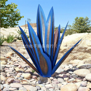 tequila home decor �羳�¿�[�������m���Fˇ����[���S��ֱ�l