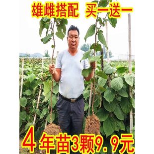 �޽ӫJ������t������ܛ���J��������Ԯ���Y���ϱ����Nֲ������