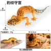 TB-XY01 leopard print gecko