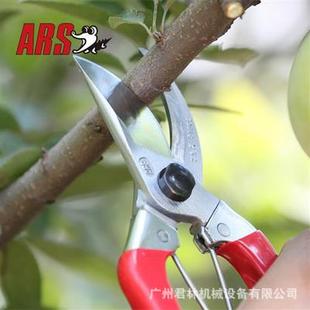 日本进口爱丽斯修枝剪手剪果树粗枝剪ARS 120S-8园林园艺工具剪刀-阿里巴巴