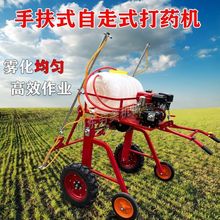 ַʽșCr͙Cș¿Сr֧UFC