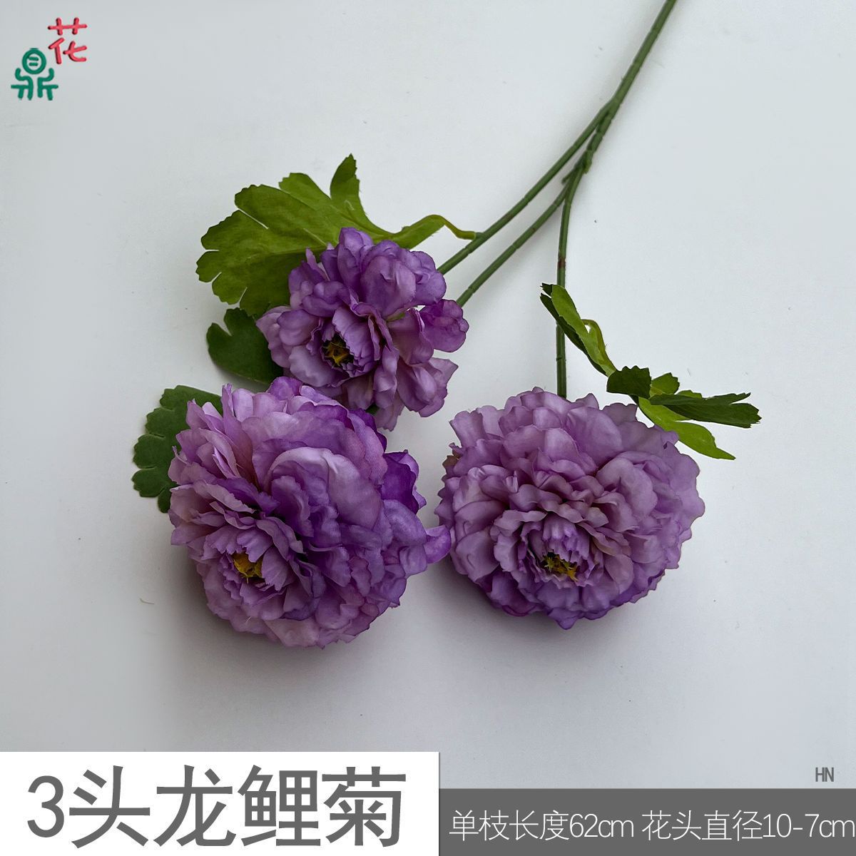 용동국화 3개 HN 연보라색