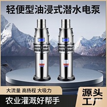 �ͽ�ʽǱˮ������380V�Ϻ�����̴�����ũ��4��6��8���ˮ������