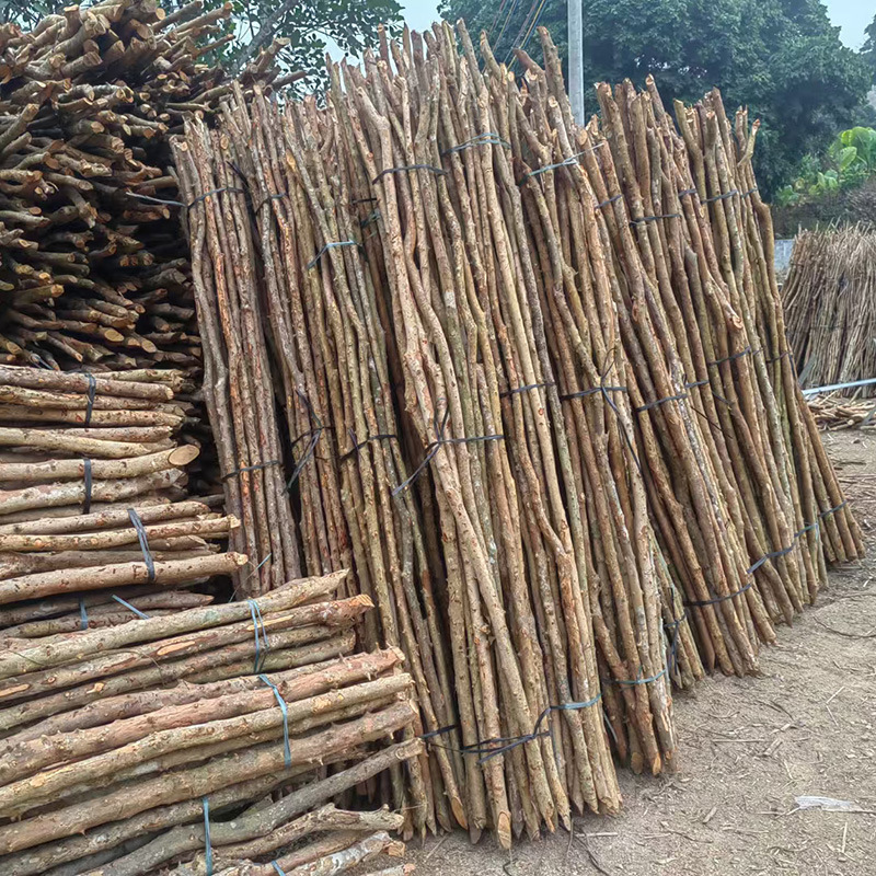 In-Stock Dry Branches for Indoor and Outdoor Decoration Materials, Tree Trunks, Fences, Wood Branches, Rattan, Over-The-River Dragon Wood, Yellow Ox Wood, Raw Wood