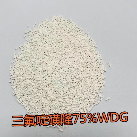 三氟啶磺隆75%WDG 颗粒剂工厂现货 145099-21-4 品质合格玉米田